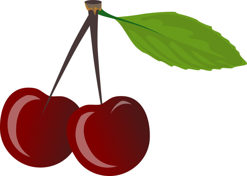 Medium Image - Cherry Clipart (800x570), Png Download