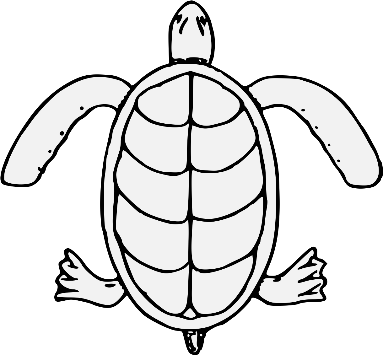 Details, Png - Sea Turtle (1237x1152), Png Download