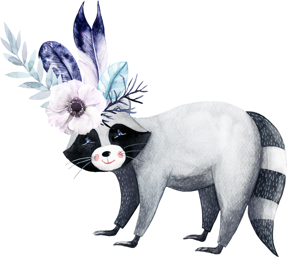 Hand Drawn Animal Plant Cartoon Watercolor Beautiful - Fondos De Pantalla De Mapaches (1024x914), Png Download