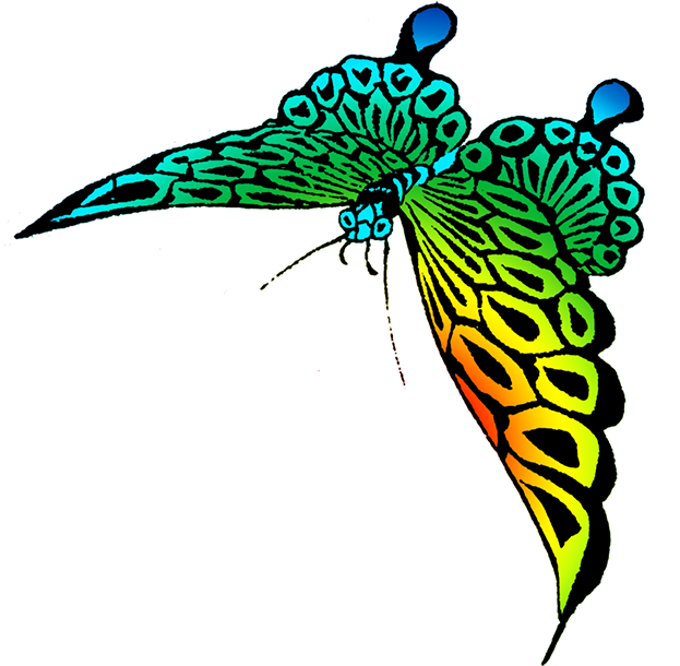 Colorful Strange Butterfly (645x650), Png Download
