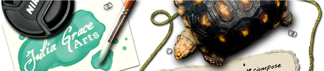 Julia Grace Arts - Grace Arts (1120x241), Png Download