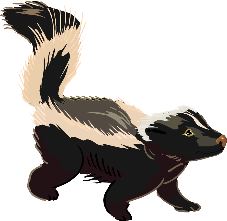 Download - Clipart Images Of A Skunk (750x729), Png Download