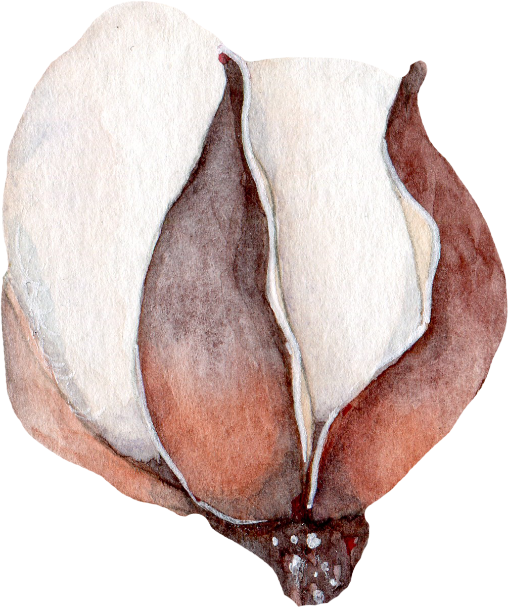 H895 - Still Life (1058x1272), Png Download