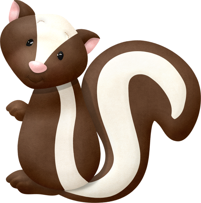 Racoon Clipart Skunk - Squirrel (790x800), Png Download