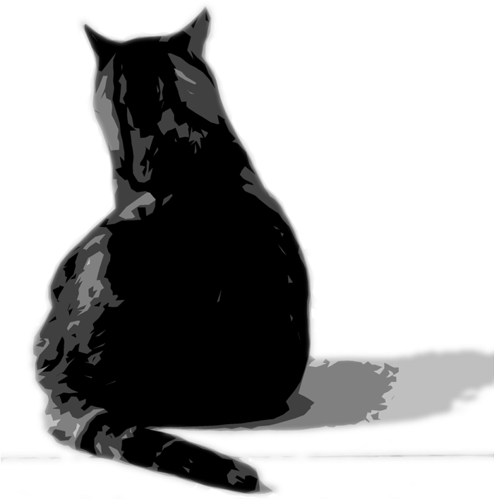 Exceptional Care For Exceptional Cats - Cat Shadow Png (699x720), Png Download