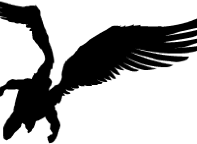 Male (640x480), Png Download