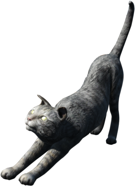 Fo4 House Cat - Wiki (896x760), Png Download