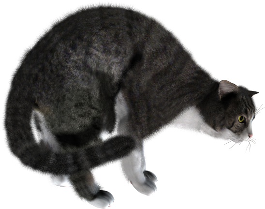 Freightning Cat Png - Gioco Per Gatti 25 Cm Acchiappa Il Topo Duplice Funzione (600x612), Png Download