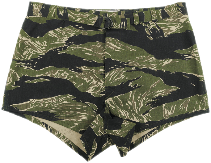 Buy Clothing Here - Tiger Stripe (683x528), Png Download