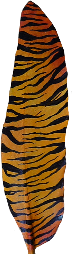 Tiger Tiger Stripes - Tiger (300x890), Png Download