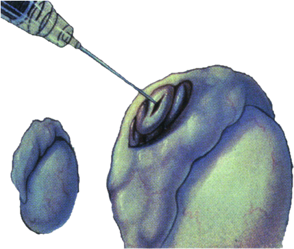 T - E - S - A - Watercolor Paint (482x363), Png Download