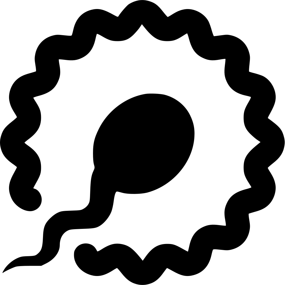 Fertilization Sperm Ovum Comments - Quality Management Icon (981x980), Png Download