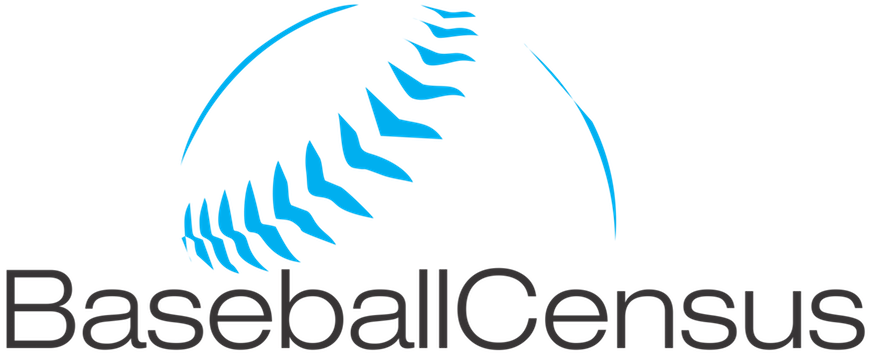 Baseball Census - Baseball (869x354), Png Download