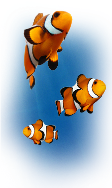 005 - Panasonic Tx P50vt20 (675x400), Png Download