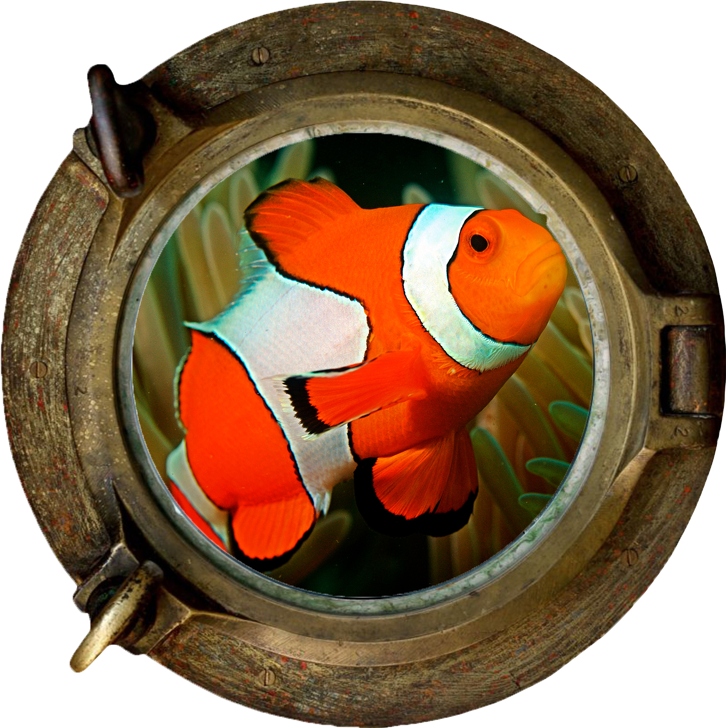 Clownfish Marine Section Png - Finding Dory Wall Art Sticker 3d Porthole View Undersea (1890x1417), Png Download