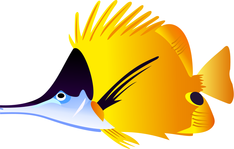 Tropical - Tropical Fish Clip Art (800x509), Png Download