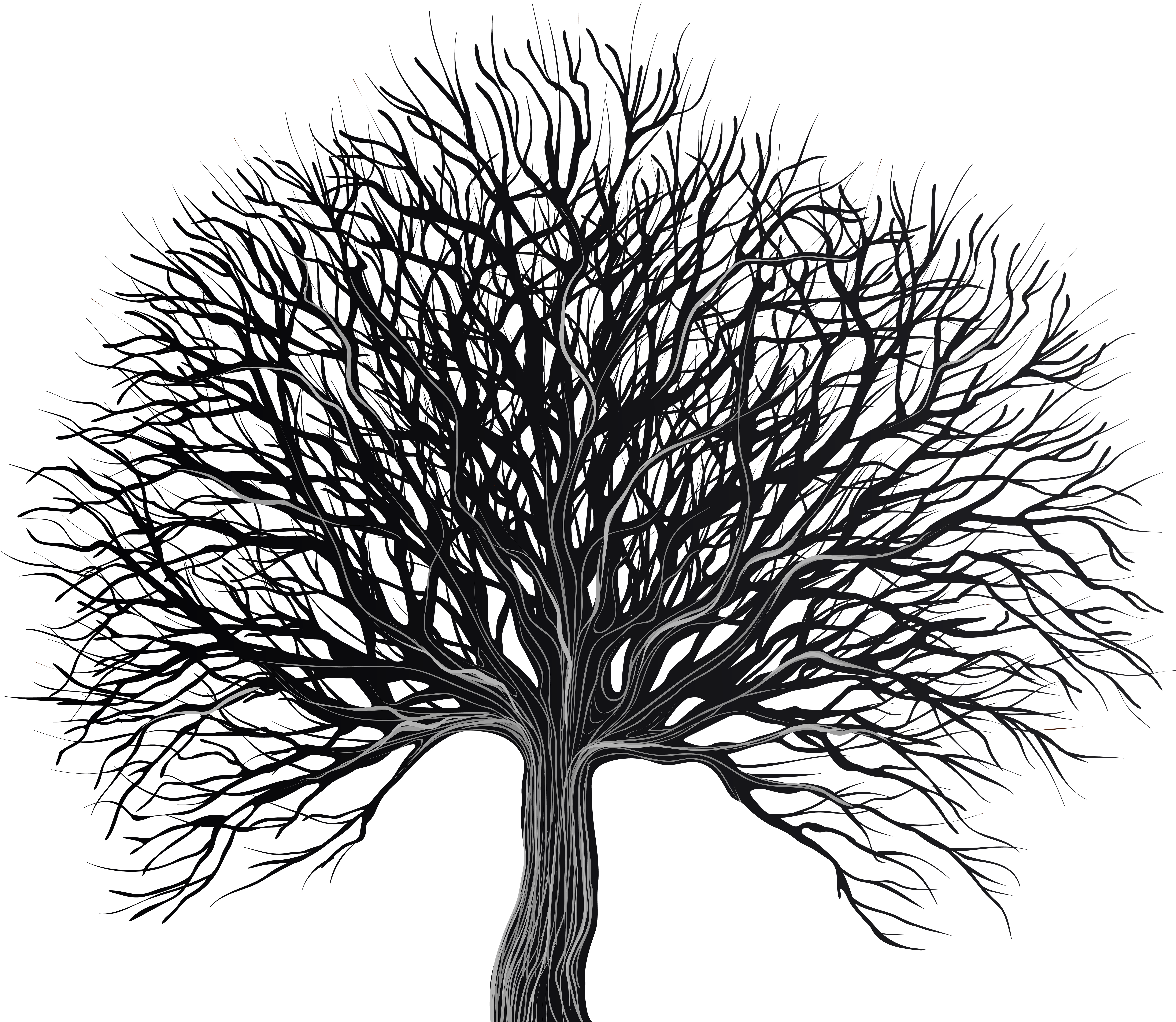 White Tree Png (8000x6955), Png Download