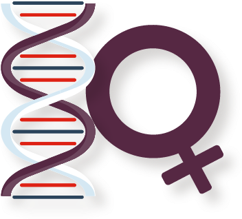 Pregnancy Test (600x486), Png Download