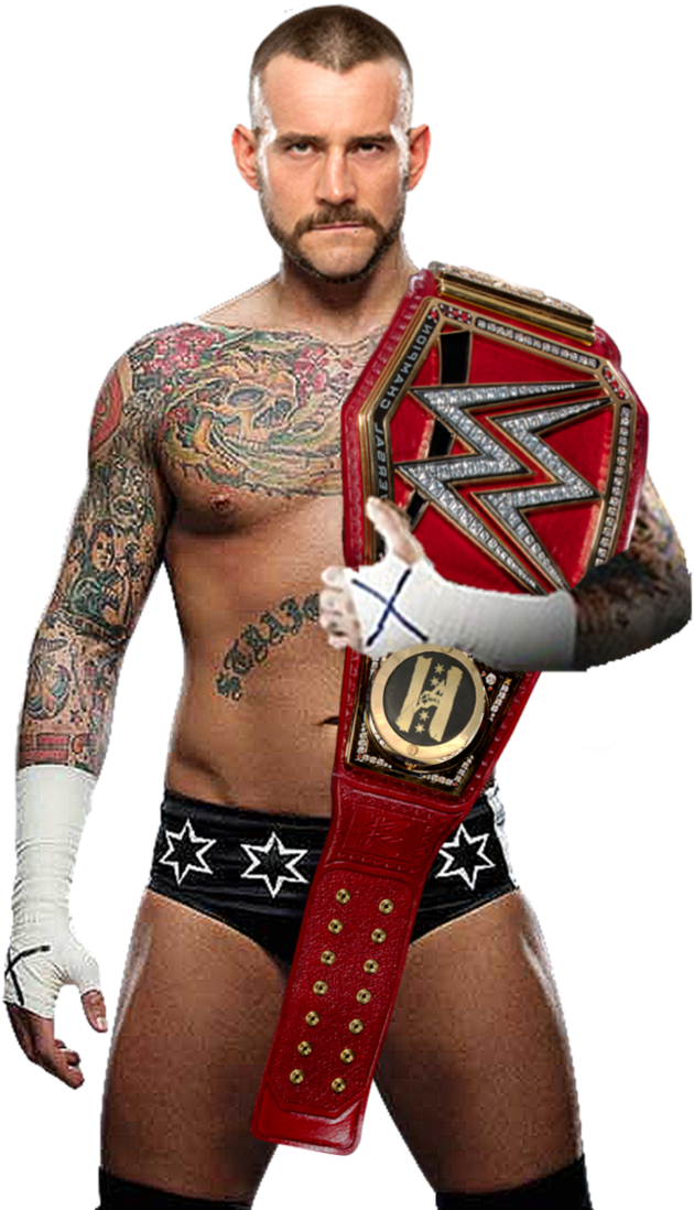 Cm Punk Wwe 2017 (728x1098), Png Download
