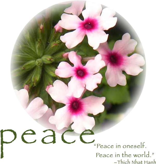 Home - Periwinkle (600x650), Png Download