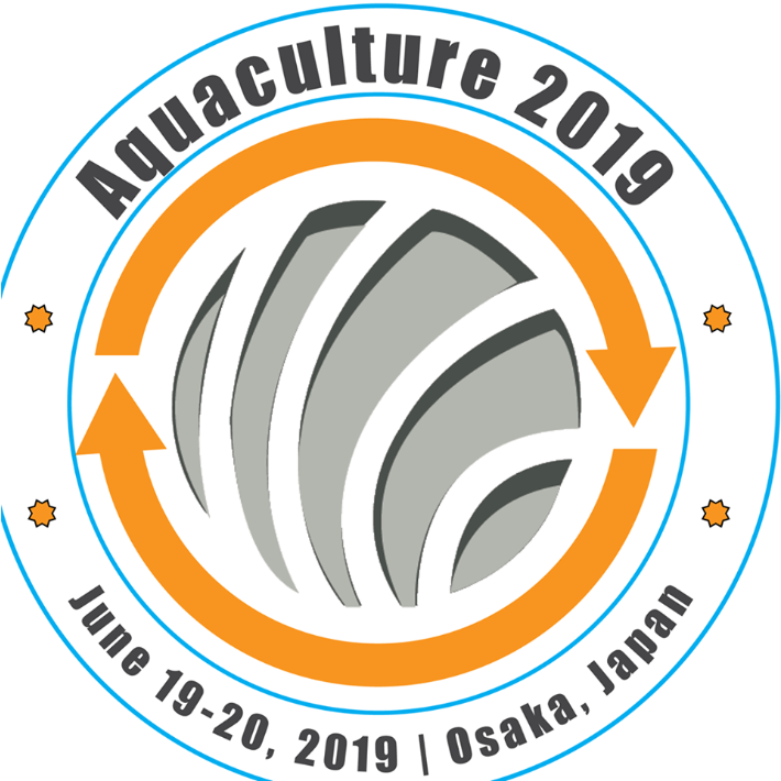 Orange Bowl (1200x829), Png Download