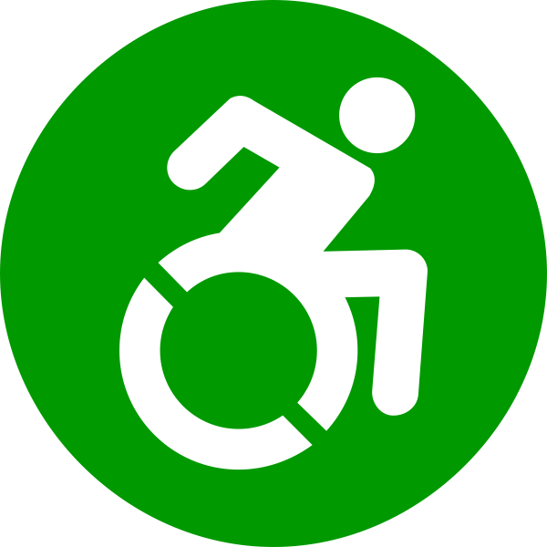 Novo Icone Acessibilidade - Ny Handicap (600x600), Png Download