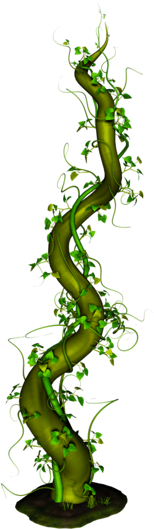 Beanstalk Png (752x1063), Png Download