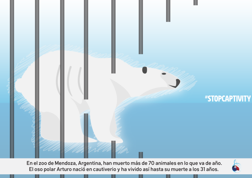 Arturo Es-big - Polar Bear (820x580), Png Download