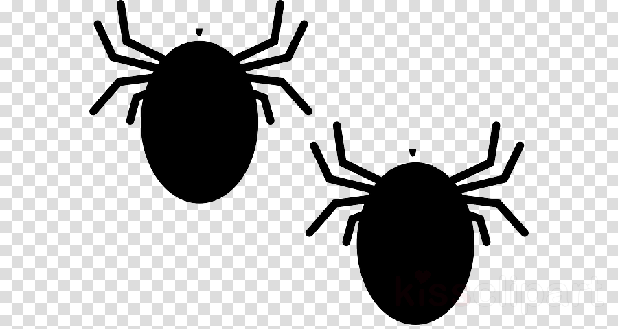 Tick Bug Clipart Deer Tick Clip Art - Clip Art (900x480), Png Download