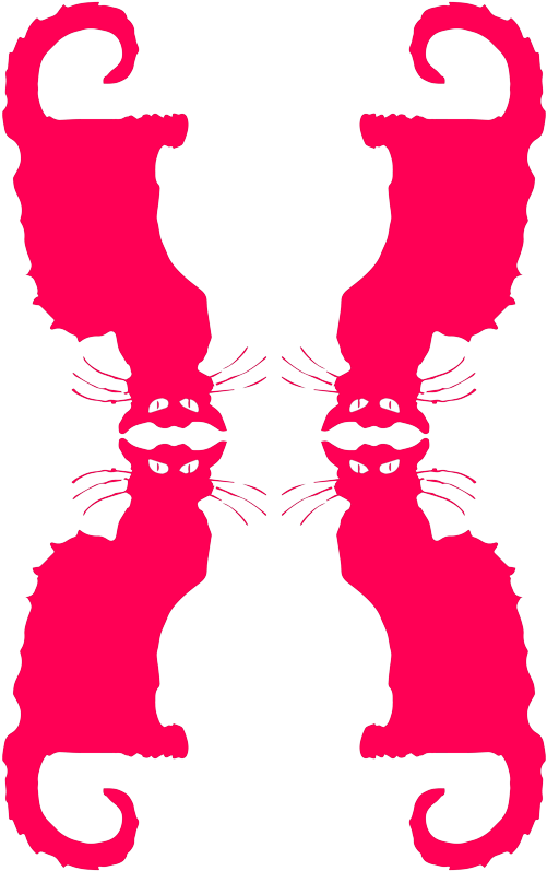 Cat (516x800), Png Download