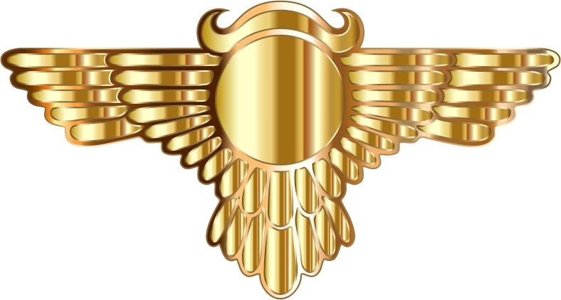Winged Globe Gold Type Iii - Clip Art (788x422), Png Download