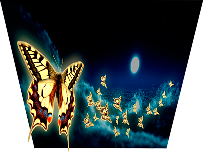 Don't Believe Your Eyes Night Glow Night Ambient Moonlight - Papilio (800x600), Png Download