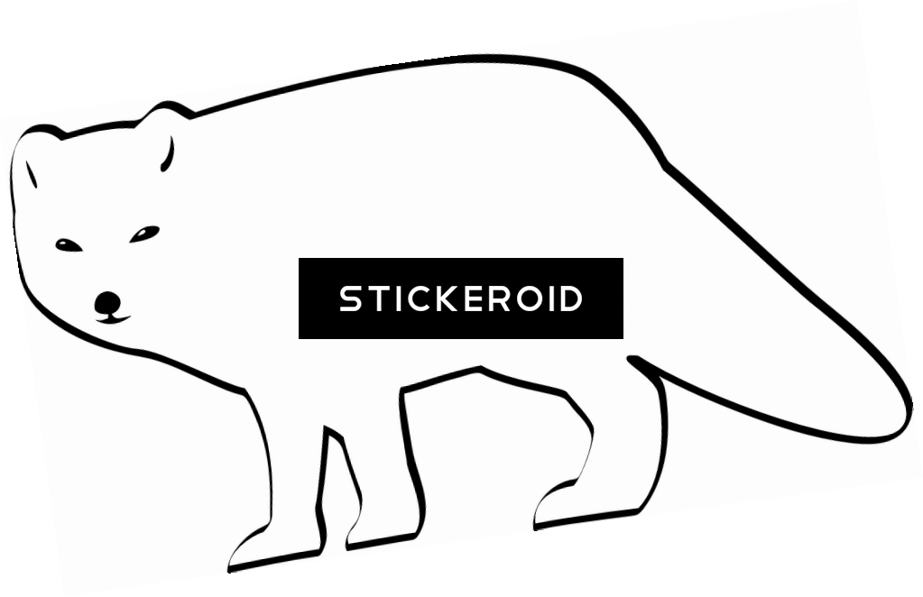 Arctic Fox Animals - Carnivore (1023x662), Png Download