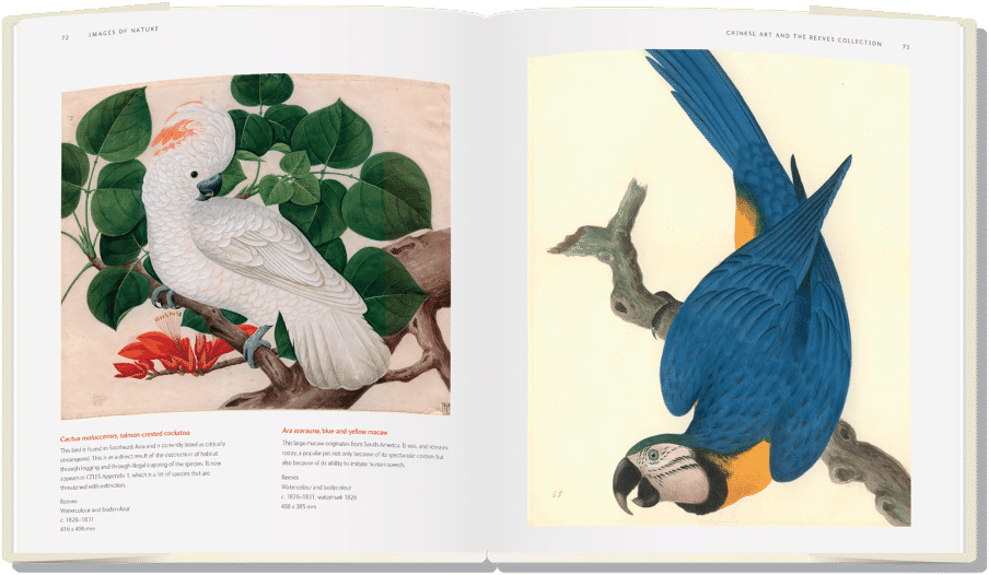 Natural History Museum <br>books For Adults - Exhibition Catalogue Natural History Museum (960x720), Png Download