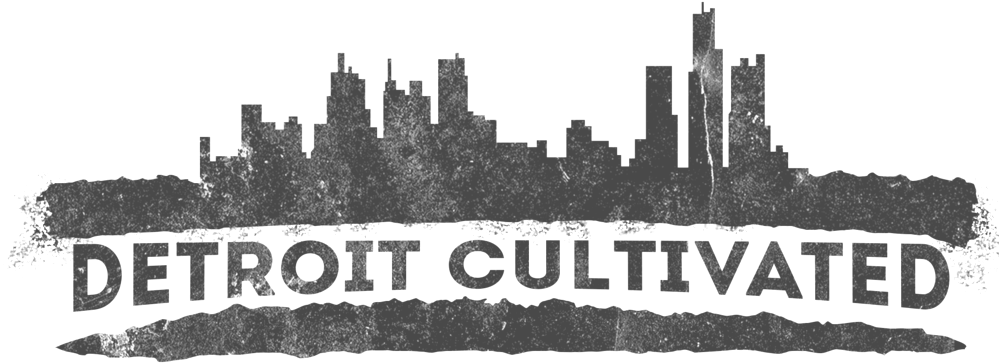 Logo16 (1000x402), Png Download