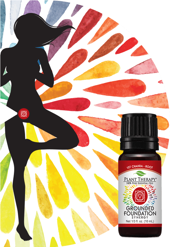 Chakras Section Red - Plant Therapy Anti Age Synergy 10 Ml (600x800), Png Download