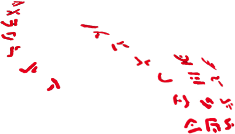 $55 (1765x1696), Png Download