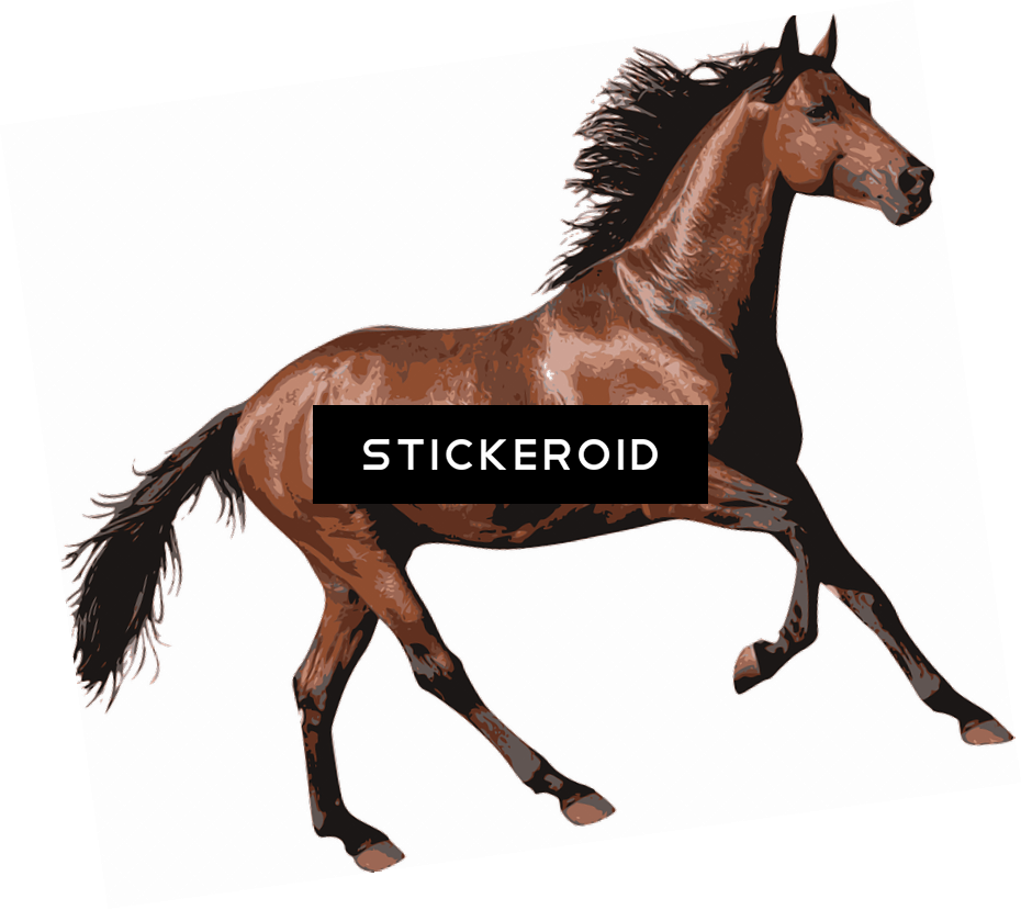 Brown Race Horse - Horse (930x829), Png Download