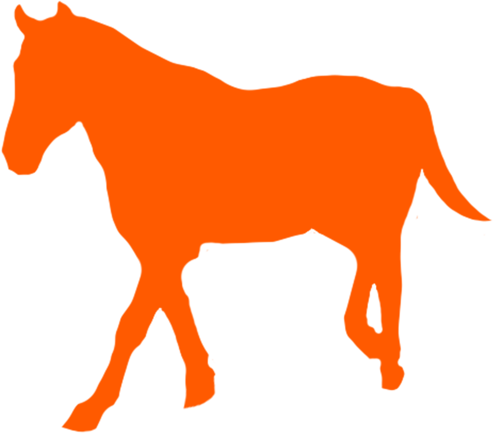Mustang Horse Png (1000x893), Png Download