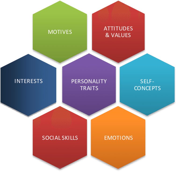 Various Personality Domains - Various Personality (850x791), Png Download