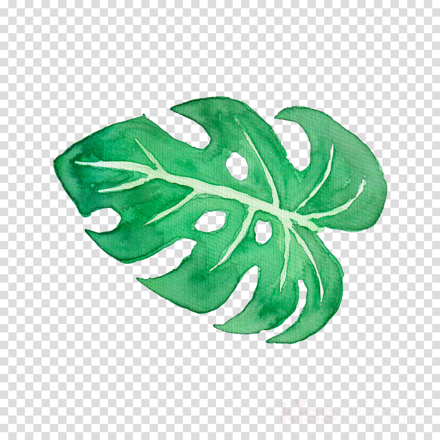 Download Tropical Leaf Watercolor Png Clipart Tropics - Tropical Watercolor Clipart Free (900x900), Png Download