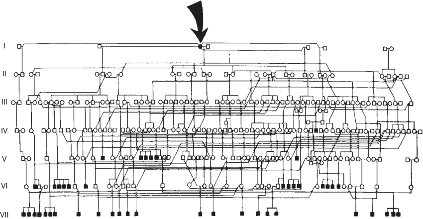 Pedigree Of A Kindred With 5a Reductase 2 Deficiency - Diagram (850x440), Png Download
