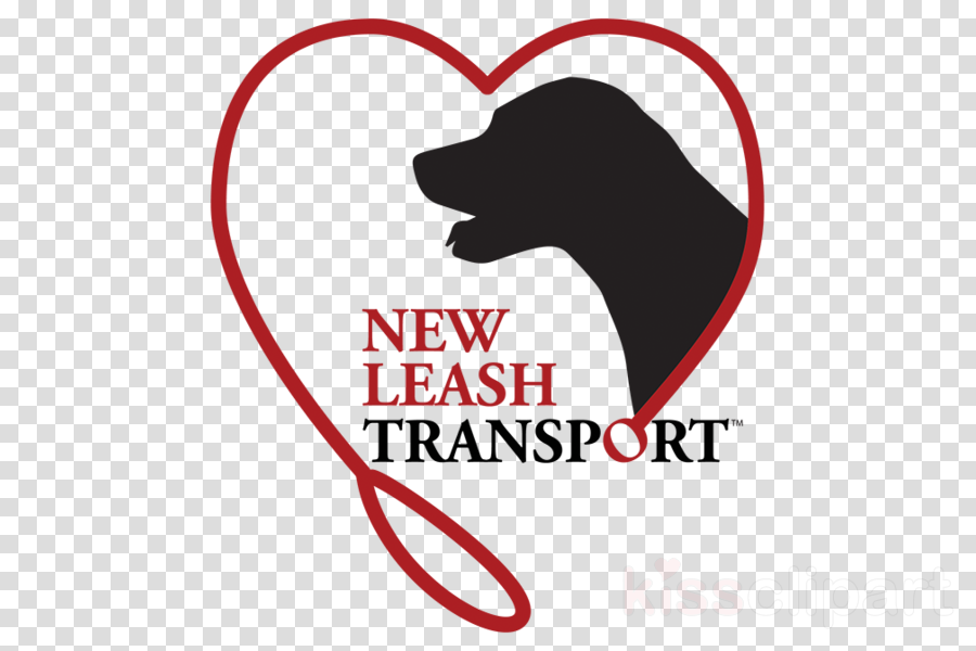 Mansion Poker Clipart Dog Logo - Map Vector Icon No Background (900x600), Png Download