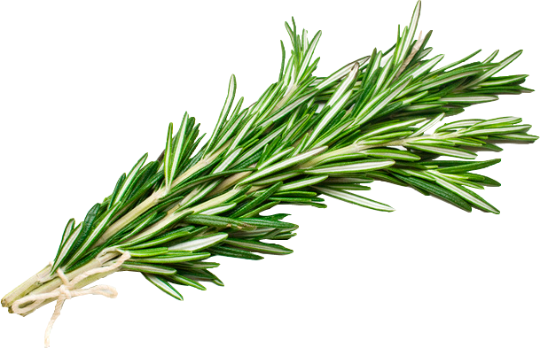 What Are The Health Benefits Of Rosemary - Rosemary Png (609x393), Png Download