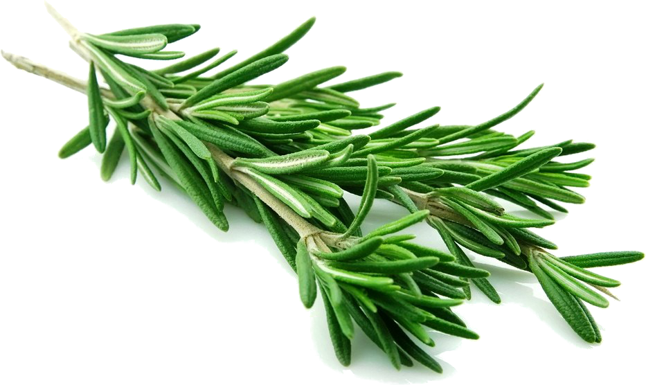 Herbs Soaps - Rosemary Leaves (933x556), Png Download