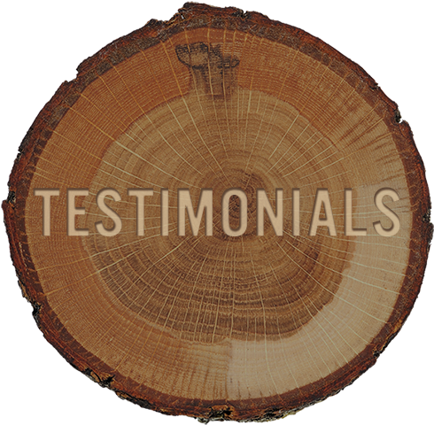 Testimonials Stump Graphic - Lumber (588x597), Png Download