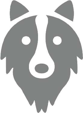 Dog Vector Icon - Bordercollie Png (500x500), Png Download