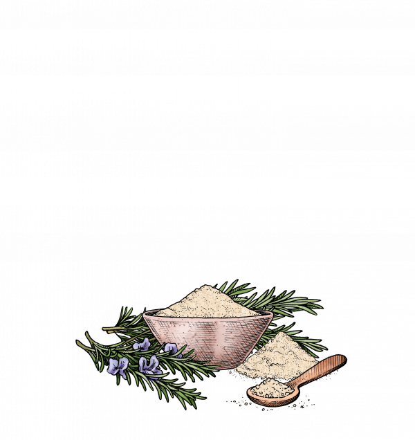 Rosemary Sea Salt - Rosemary (600x636), Png Download