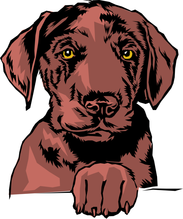 Vector Illustration Of Family Pet Brown Dog With Paw - Labrador,-chocolate.png Shower Curtain (583x700), Png Download
