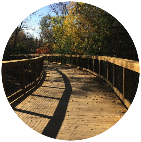 9mile - Jpeg (491x493), Png Download